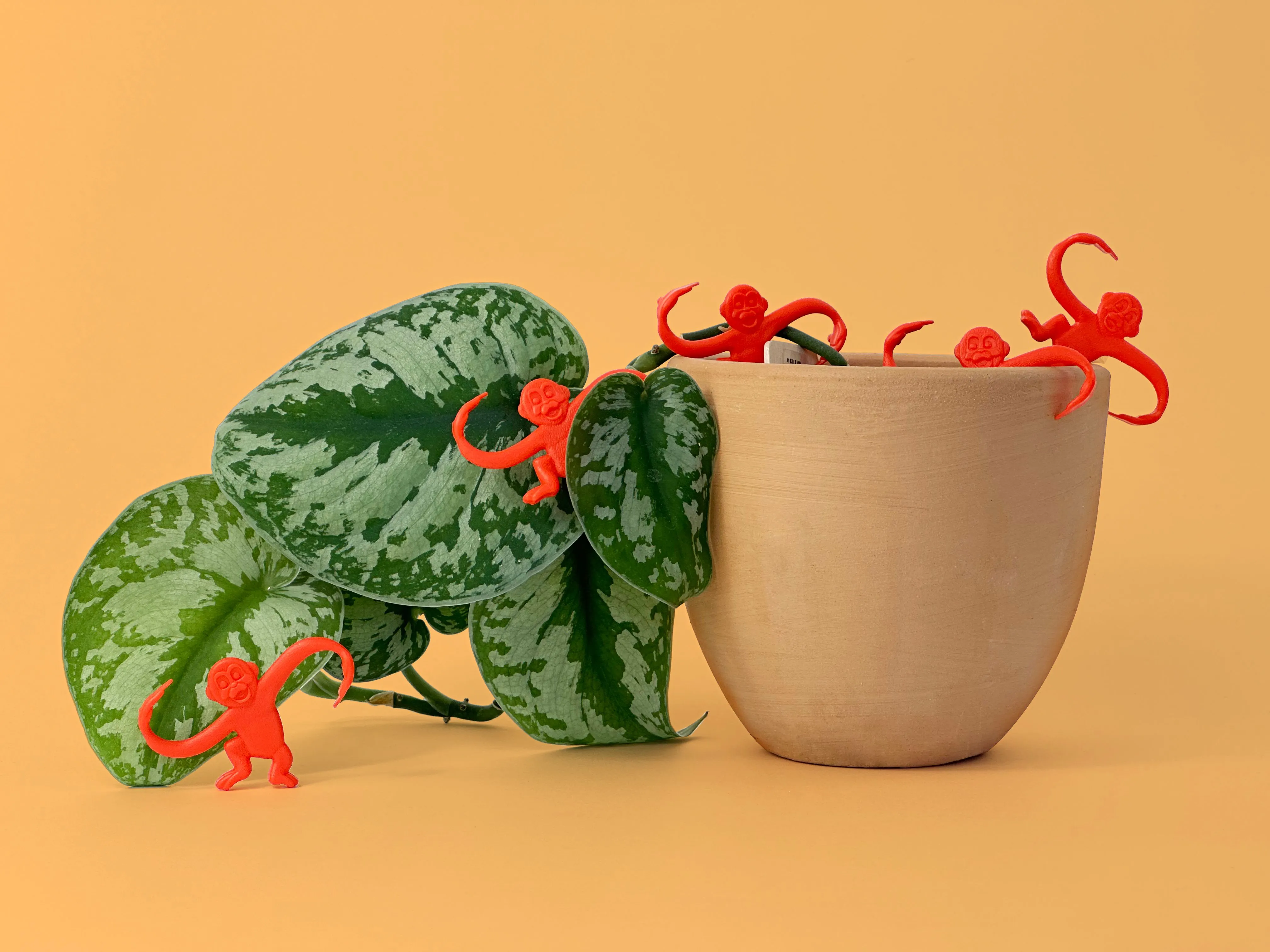 Barrel of monkeys climbing out of plant